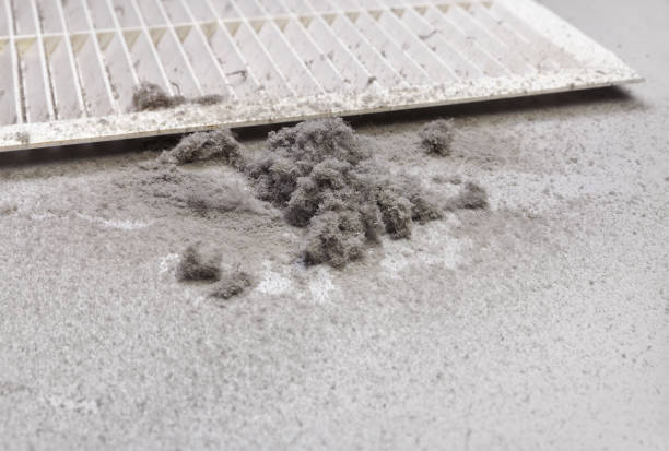 Best Affordable Duct Cleaning Services  in Lewisville, NC