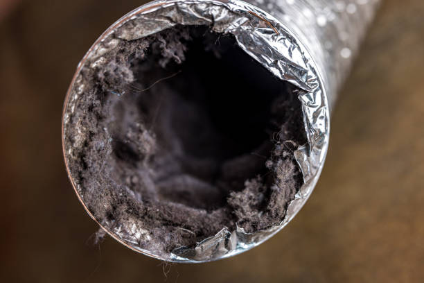 Best Best Air Duct Cleaning Company  in Lewisville, NC